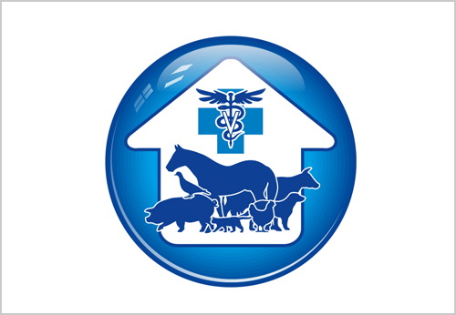 Vet Hospitals Care Division