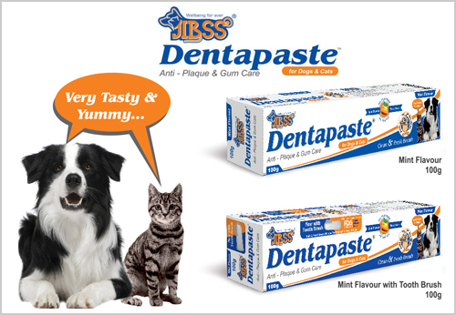 Dentapaste Mint Flavour